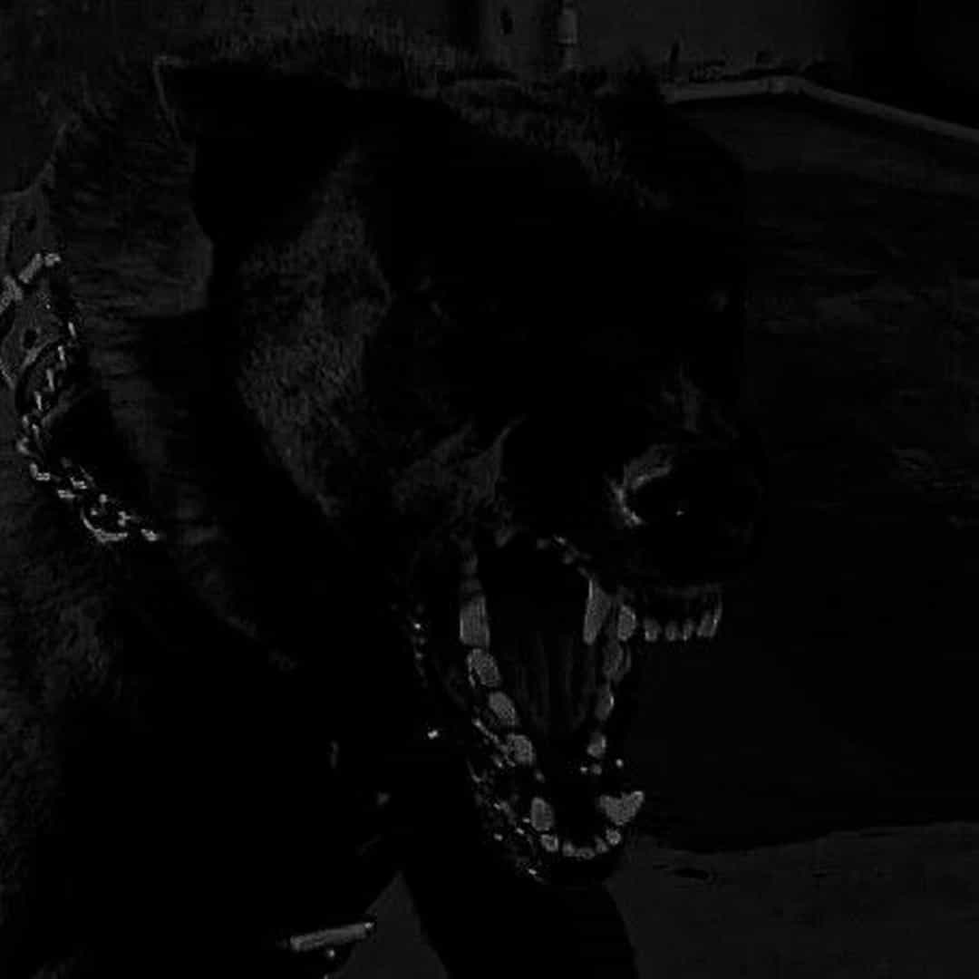 Beat Mafia Trap 032 DM 156bpm