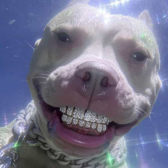 Beat Mafia Trap 133 GM 150bpm beat mafia trap 133 gm 150bpm agressive type beat trap type beat shoreline mafia big mafia beat shoreline mafia type beat rap beat