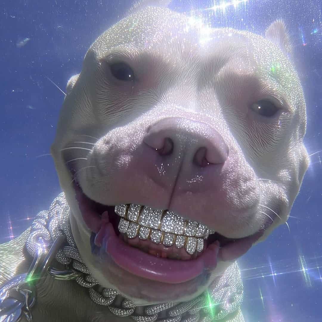 Beat Mafia Trap 133 GM 150bpm