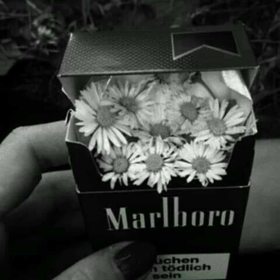 Beat Mafia Trap Vol2 091 DM 162bpm