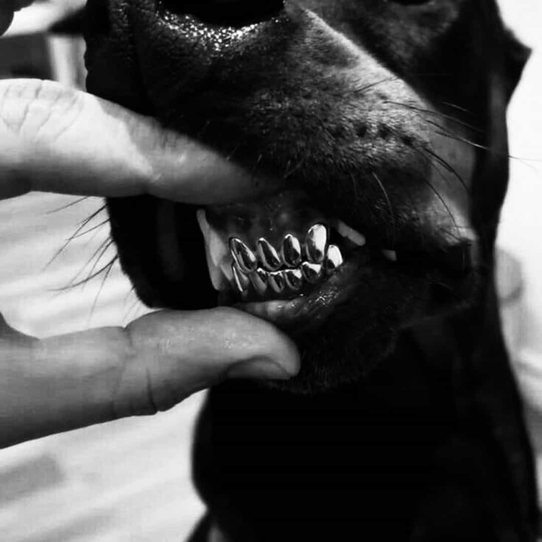 Beat Melodic World 015 GM 140bpma