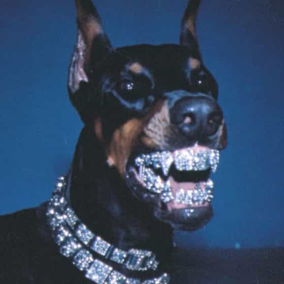 Beat Trap 069 F# 146bpm beat trap 031 gm 164bpm dark trap beat type beat melodic trap rock trap type beat hard trap beat emo trap type beat