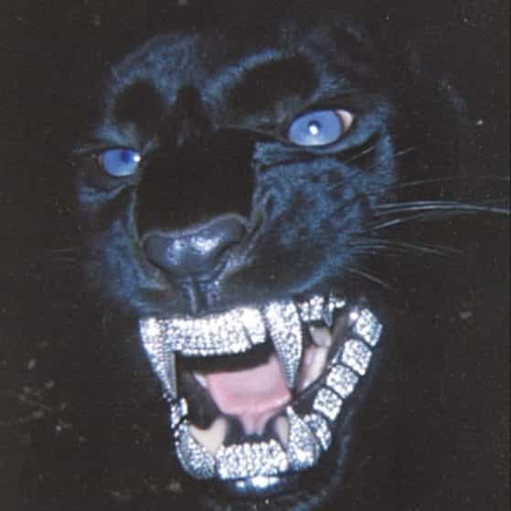 Beat Trap EDM 006 E 151bpm beat trap edm 006 e 151bpm trap edm hardcore edm trap no copyright trap edm agressive trap edm trap edm edm trap tutorial ableton trap edm edm trap beat for trap edm trap edm rap type beat