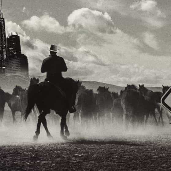 Beat Trap EDM 030 DM 160bpm beat trap edm 030 dm 160bpm trap edm edm trap free beat trap edm edm rap beat trap edm melodic edm trap type beat trap edm trap electronic trap edm edm trap drop loop