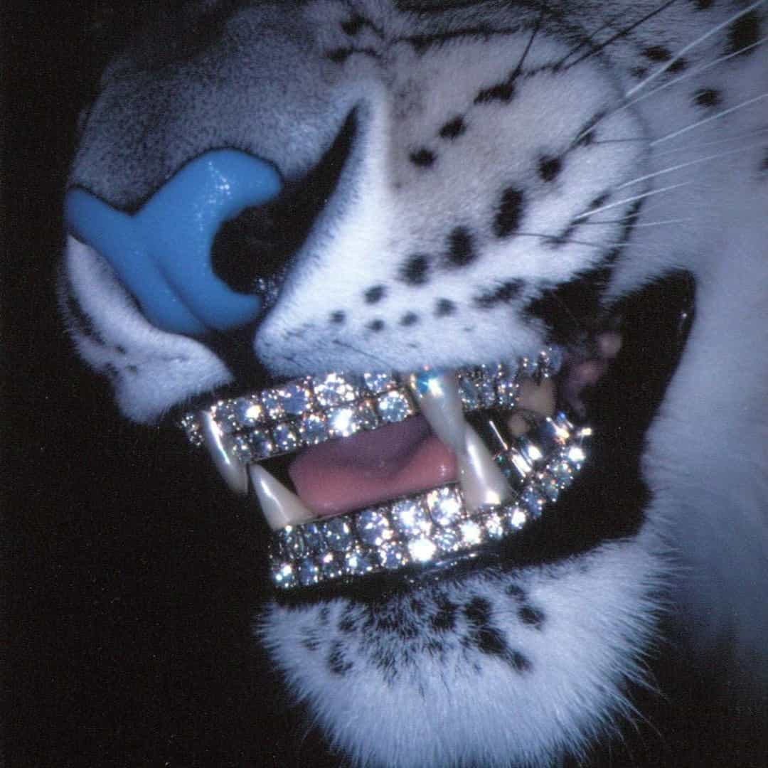 Beat Trap EDM 087 AM 141bpm