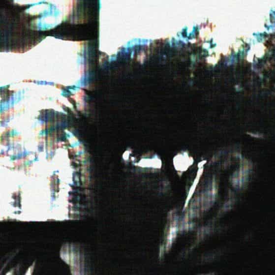 Beat Trap EDM 126 AM 151bpm beat trap edm 126 am 151bpm trap edm edm trap music type beat trap edm edm rap beat trap edm edm trap drop loop trap edm beats trap edm no copyright trap edm trap flp edm free